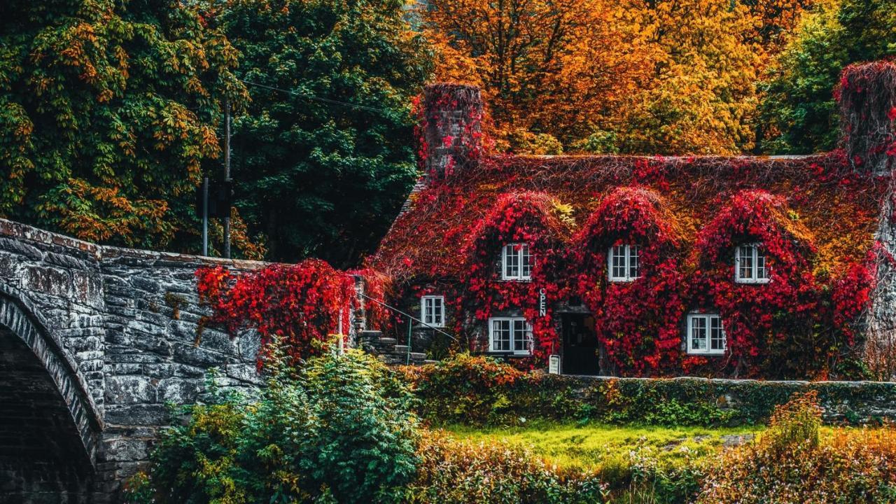 Sterling Bed & Breakfast ランディドノー 部屋 写真
